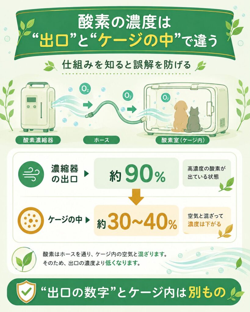 酸素濃縮器の出口とケージ内の酸素濃度の違いを示す解説図