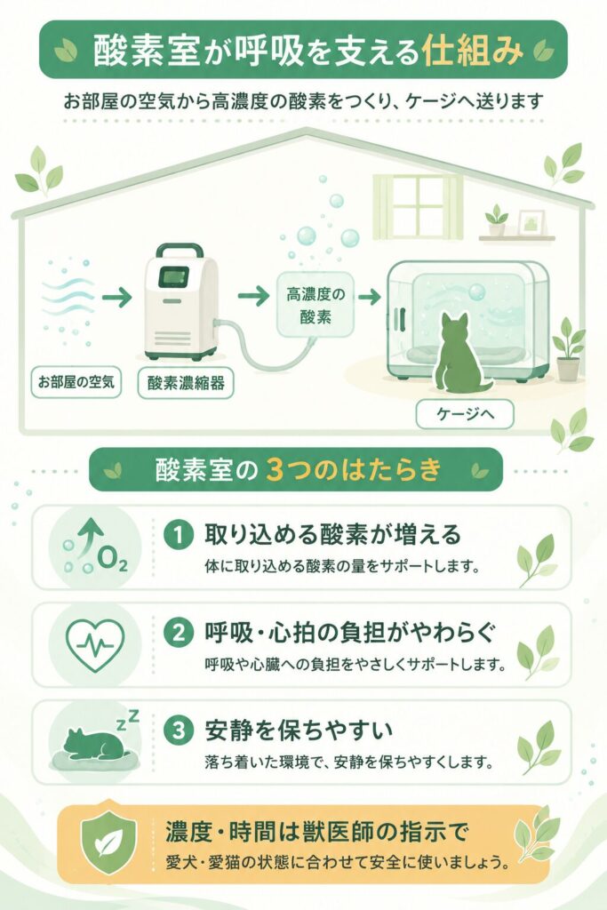 酸素濃縮器がケージへ高濃度酸素を送る仕組みの解説図
