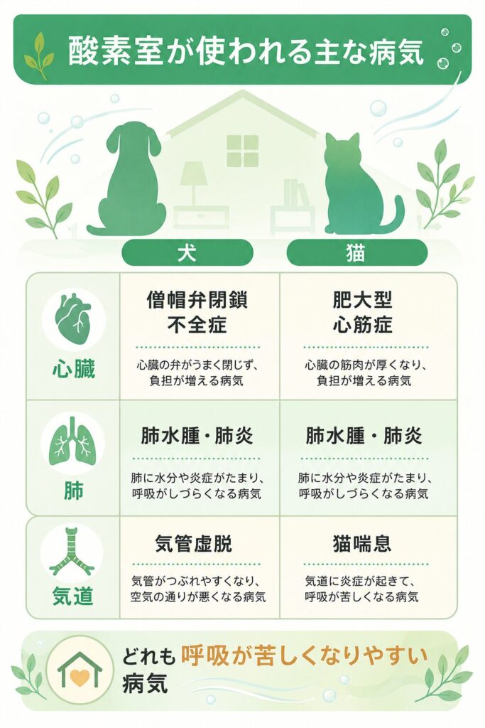 犬猫で酸素室が使われる主な心臓・肺・気道の疾患一覧図